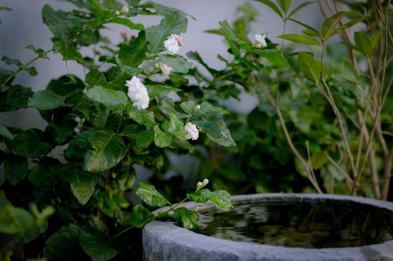 The Purple Hue Homestay エクステリア 写真
